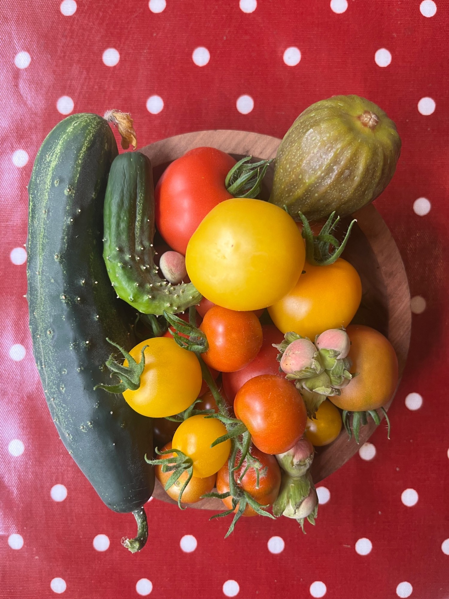 Food harvested from the garden