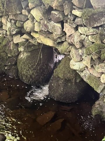 Spring water running through the stone wall at Hensol Wood