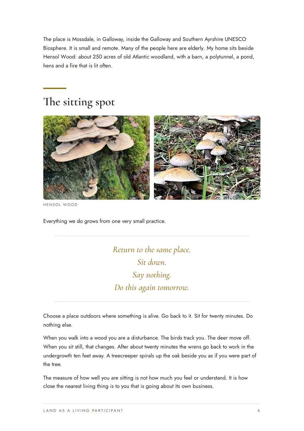 Land as a living participant, page 4